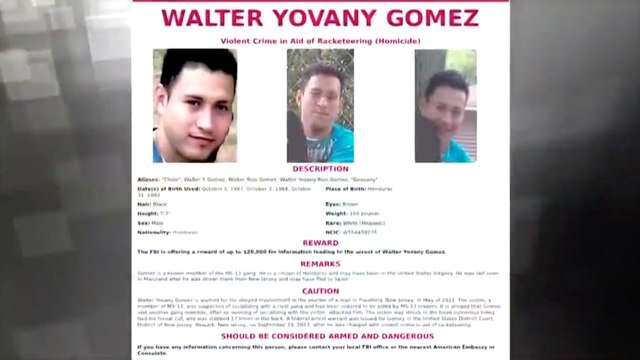 Suspected gang member may be hiding in D.C. area