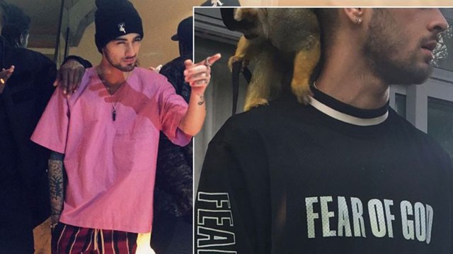 Zayn Malik Parties With Strippers in London