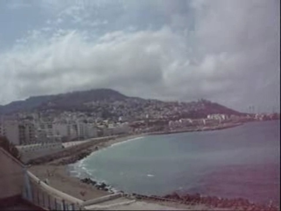 alger(kitani)