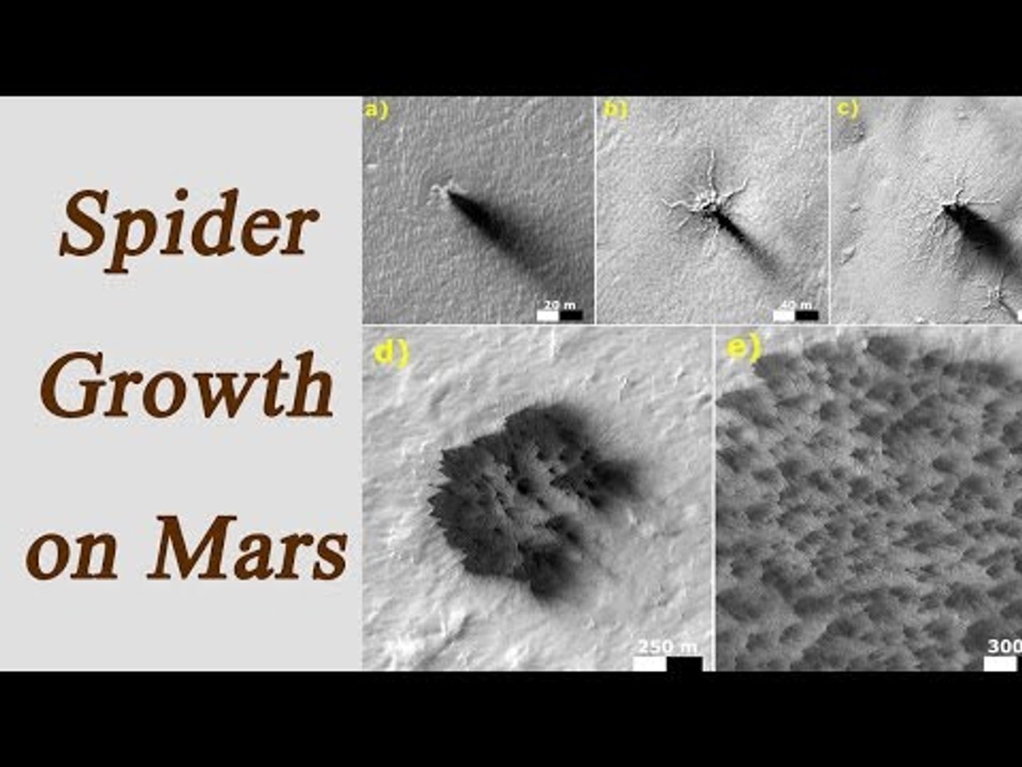 Nasa Mars Spiders Pictures