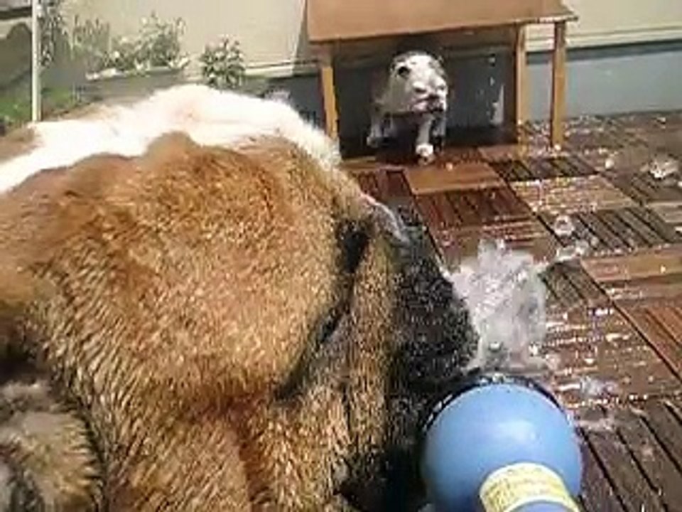 荒谷竜太ぶるぶるる (3)