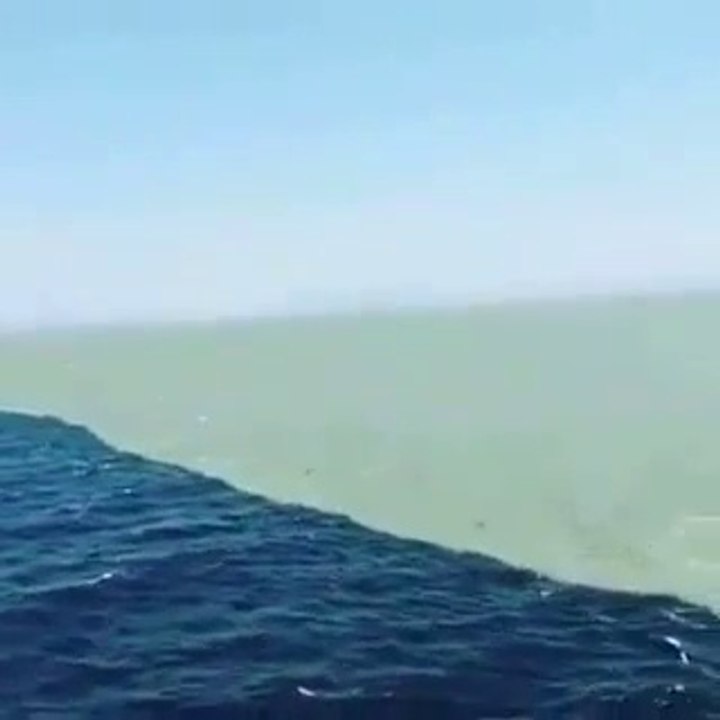Quand l'eau douce rencontre l'eau salée en mer. Phénomène magnifique