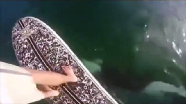 Ce gars en paddle va faire une rencontre incroyable