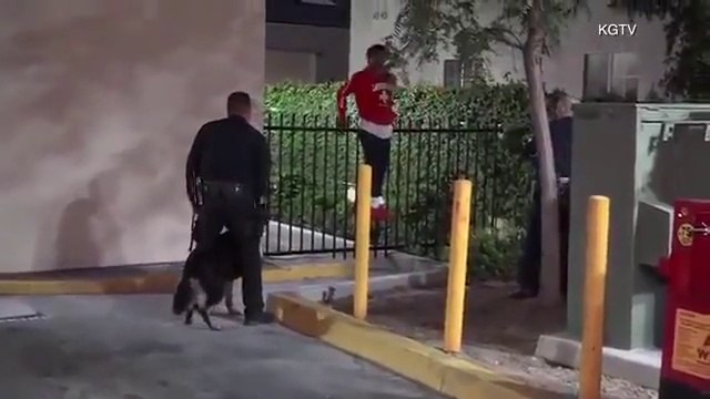 Ce suspect veut se rendre mais se coince le pantalon en enjambant la cloture... FAIL ridicule