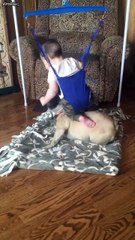 Ce bébé se fait un rodéo sur le chien! ahaha