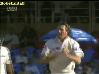 Yuvraj Singh owns Glenn McGrath AWESOME BATTING