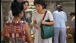 31集电视剧：世纪人生 第二十八集 - 主演：李媛媛 吕凉 奚美娟 李家耀 张康尔