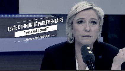 Levée de l'immunité de Le Pen : "C'est normal"