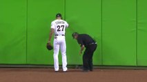 Cat shows off athleticism on outfield wall