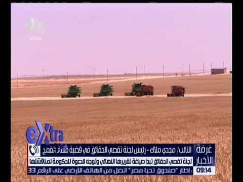 غرفة الأخبار | لجنة تقصي الحقائق لقضية فساد القمح تواصل اجتماعها لصياغة تقريرها النهائي