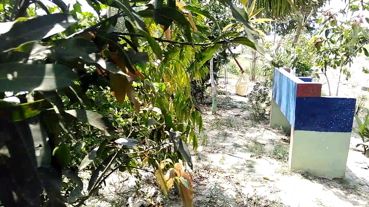 India Bangladesh Border