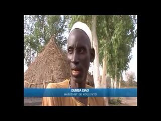 Les feux de brousse ont dévasté des hectares à Médina Yoro Foulah