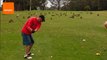 Mob of Kangaroos Take Over Golf Course
