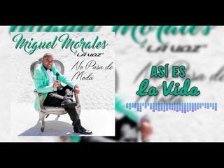 Así Es La Vida - Miguel Morales I Mano De Obra ®
