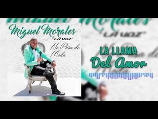La Llama Del Amor - Miguel Morales I Mano De Obra ®