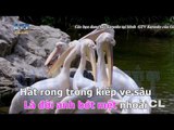 { Karaoke } Kiếp Ve Sầu Remix  - Đan Trường
