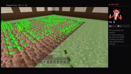 Secrets to minecraft ep1 (21)