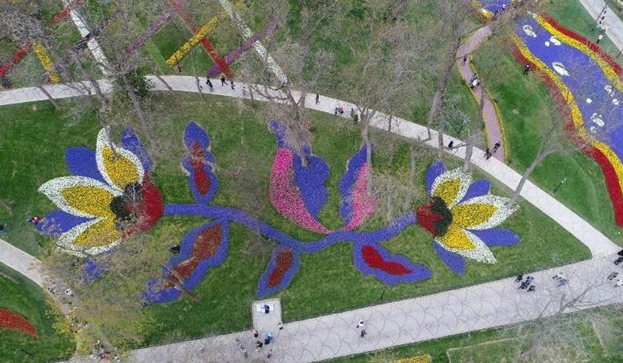 İstanbul’da lale zamanı... Emirgan Korusu havadan görüntülendi