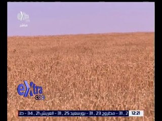 غرفة الأخبار | لجنة تقصي الحقائق في فساد القمح تبدأ صياغة تقريرها النهائي