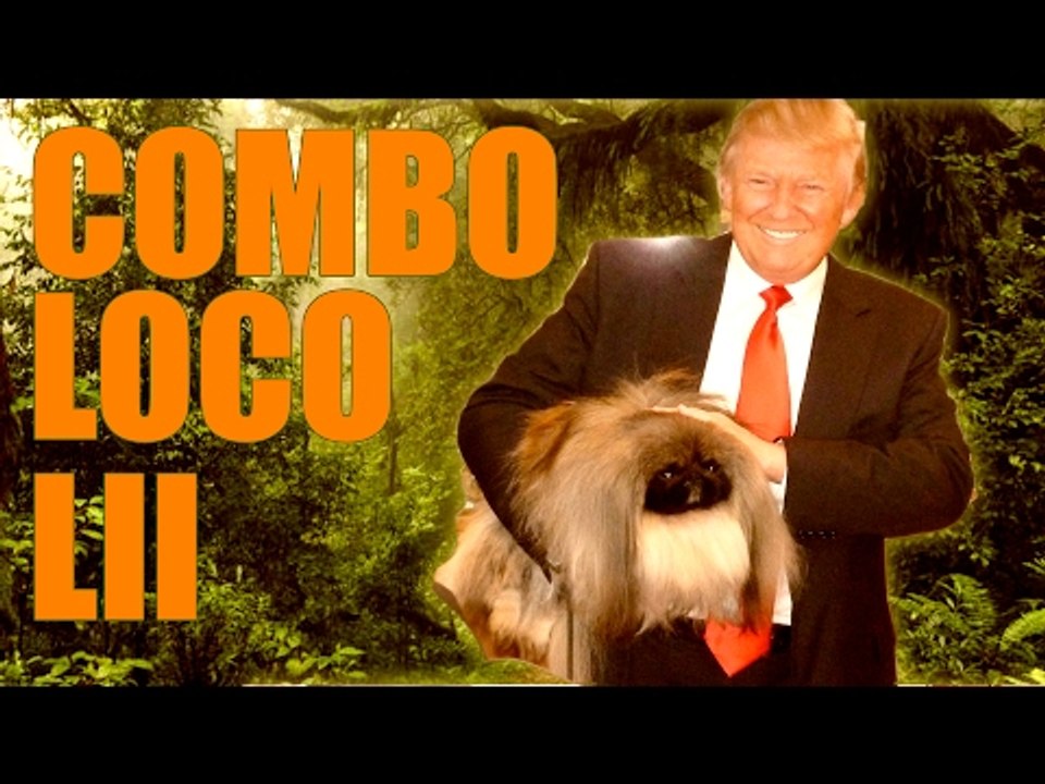 COMBO LOCO LII