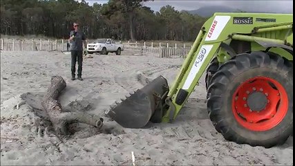 Conservatoire du littoral : le projet « Ad’Apto » bien lancé !