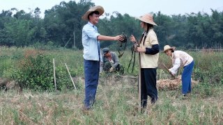 微电影《野菊花》知识青年为爱放弃了她的...... part 1/2