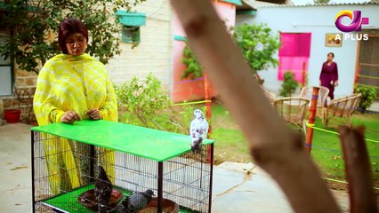 Rishtay Kachay Dhagoon Se Episode 3  | Aplus