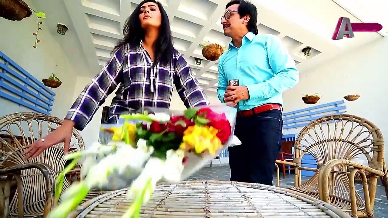 Haseena Moin Ki Kahani Episode 25 Promo | APlus