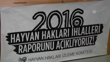 Hayvan Hakları Ihlalleri Raporu Açıklandı