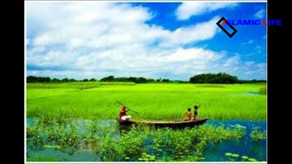 Best Islamic song Bangla- Islamic Gojol 2017