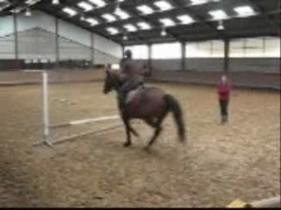 Dana et moi leçon obstacle