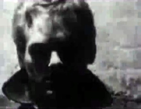 fancy cat considers the possibilities