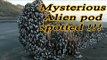 Mysterious Alien pod spotted at Muriwai Beach, New Zealand ? | Oneindia News