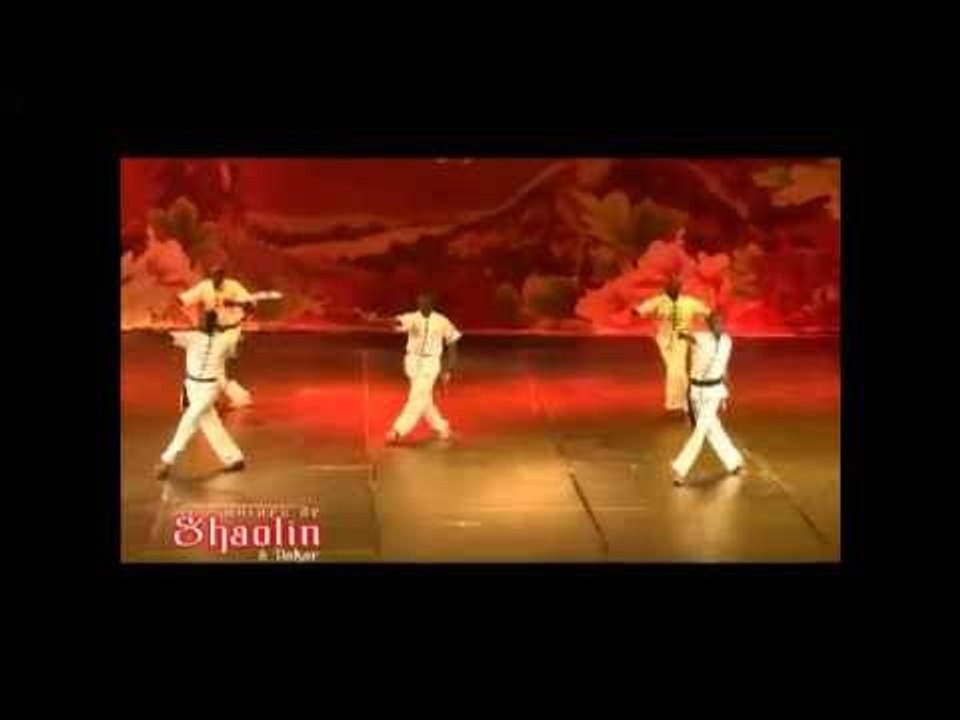 Sensei du 26 Janv 2014 avec les moines du Shaolin au Grand Théâtre