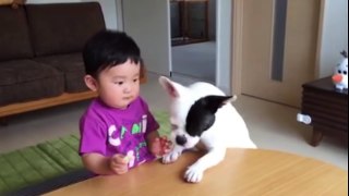 DOG eats baby's food, DOG cries with Baby, CUTENESS overload!