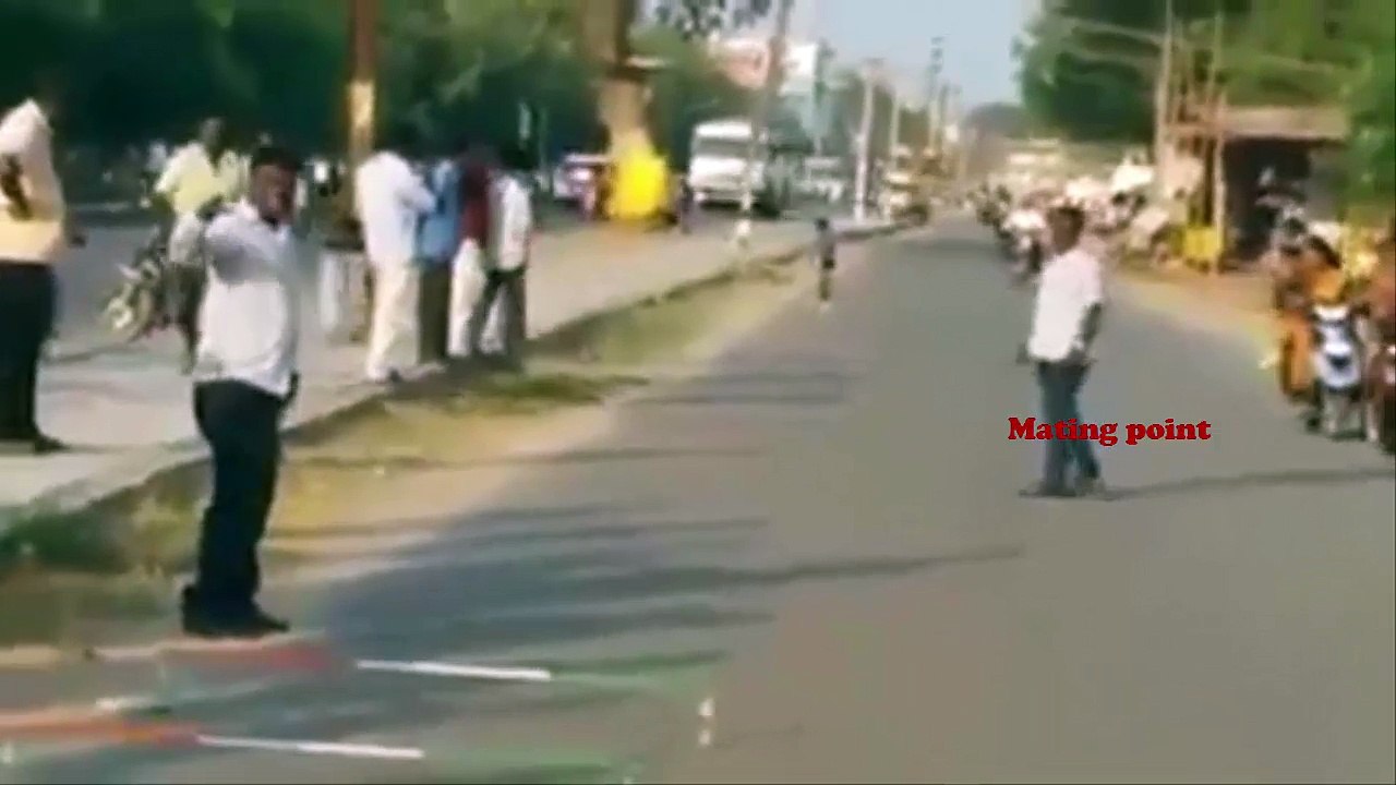 Indian little Boy showing amazing skating skill