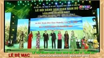 Southern Vietnamese folk festival