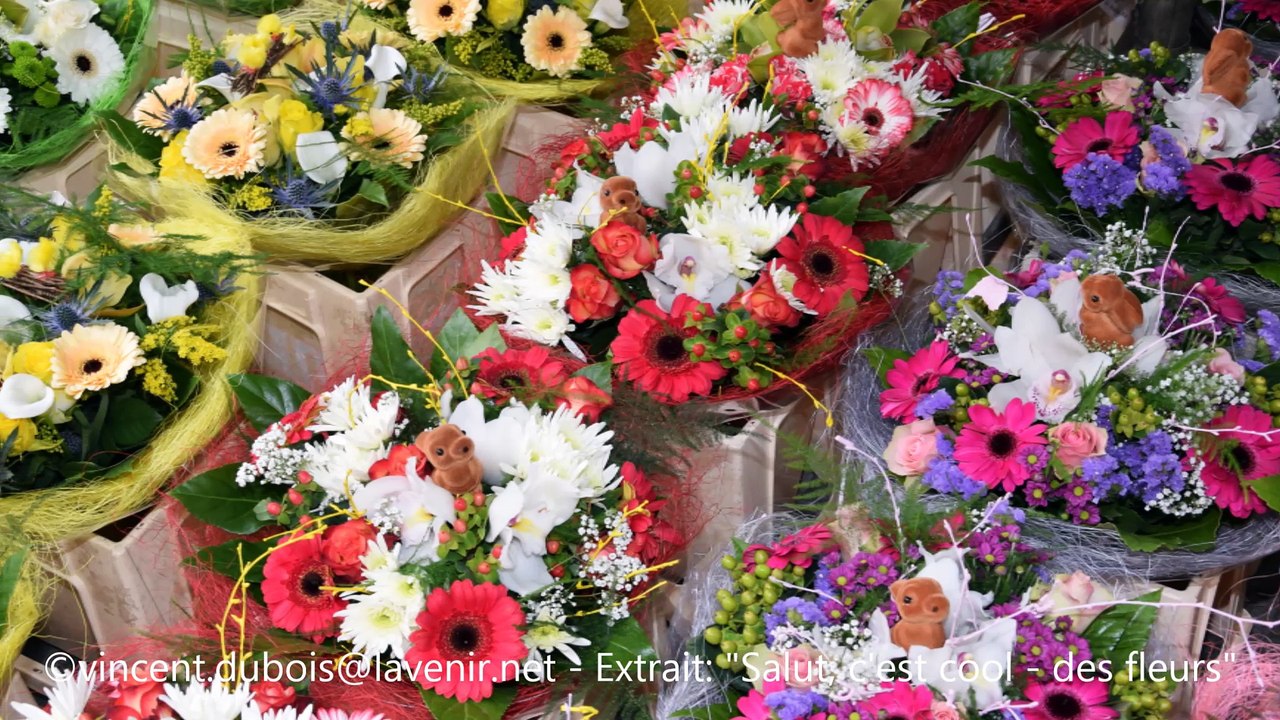 Promenez-vous dans les fleurs...