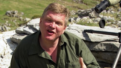 faucon Ray Mears
