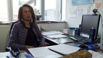 Présentation du Master IFSE - JPOV ENSFEA