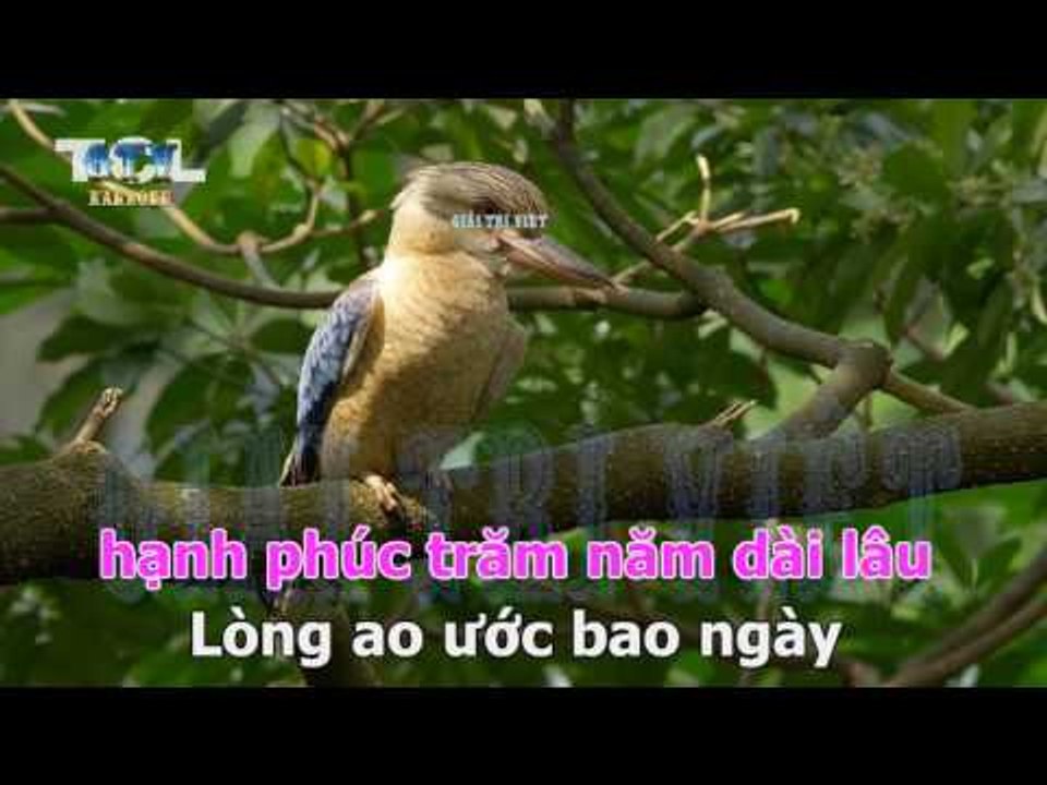 { Karaoke } Em Mơ Làm Cô Dâu -  Thy Dung