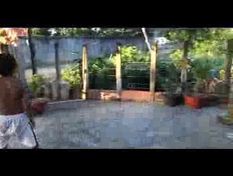 Brave Boys Catch Village Snake Along The Road - How To Catch Village Snake In My Village