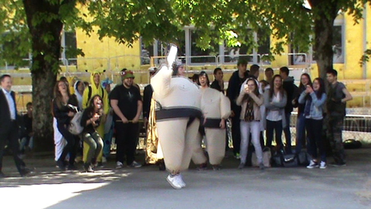 carnaval 2017 du lycée Carriat