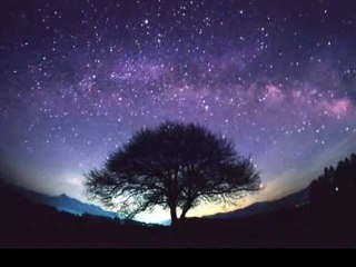 Black Knight- Black Knight