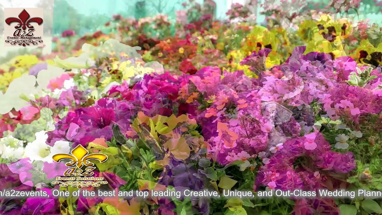 Flower Show & Award Ceremony LCB WCB Lahore - HD 720