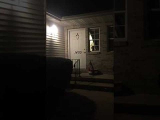Puppy Plays Peekaboo With Beloved Owner