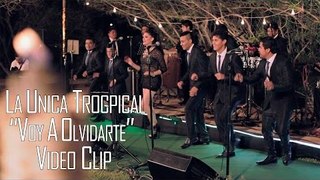 VOY A OLVIDARTE - LA UNICA TROPICAL (VIDEO CLIP 2016)