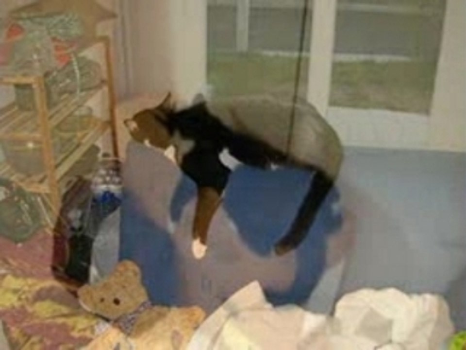 Félix le chat