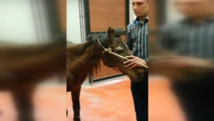 Cankız' Kurtarılamadı