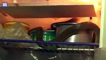 Shocking moment cobra wraps itself around milk in fridge _2017